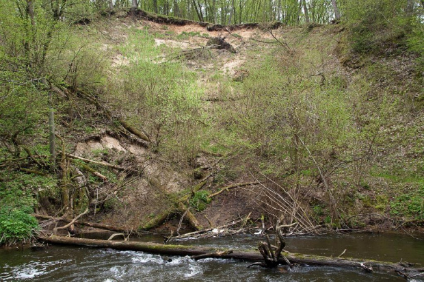 Rzeka Wel, spływ kajakowy maj 2010 przez Piekielko #rzeka #wel #wela #spływ #kajaki #piekiełko #rezerwat