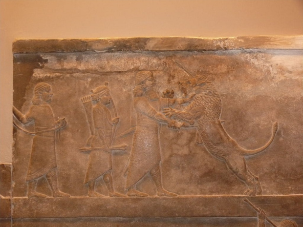 Reliefy z czasów asyryjskich przedsyawiajace polowanie na lwy. #BritishMuseum