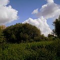 Piotrówka, Radom