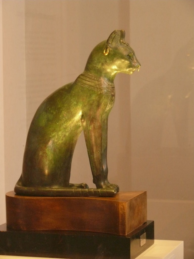 Bogini wojny Bastet, wyobrażana z głowa kotki, albo kota. #BritishMuseum