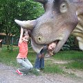 Triceratops w Parku Dinozaurów w Rybniku lubi zabawy z Justynką i Kasią #ChataZPiernika #ChatkaZPiernika #DomNaKurzejNodze #Pinokio #Czarownica #BabaJaga #Rzepka #Dinozaury #Dinozaur #Bajka #Bajki #BajkowaKraina #PodŻaglami #Rybnik #ParkJurajski