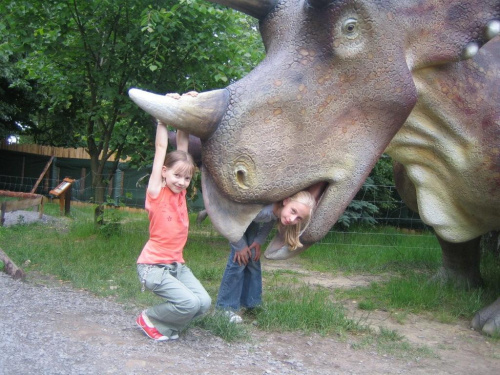 Triceratops w Parku Dinozaurów w Rybniku lubi zabawy z Justynką i Kasią #ChataZPiernika #ChatkaZPiernika #DomNaKurzejNodze #Pinokio #Czarownica #BabaJaga #Rzepka #Dinozaury #Dinozaur #Bajka #Bajki #BajkowaKraina #PodŻaglami #Rybnik #ParkJurajski