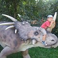 Styrakozaur - ujezdżanie / www.parkjurajski.net #ChataZPiernika #ChatkaZPiernika #DomNaKurzejNodze #Pinokio #Czarownica #BabaJaga #Rzepka #Dinozaury #Dinozaur #Bajka #Bajki #BajkowaKraina #PodŻaglami #Rybnik #ParkJurajski #DinoPark