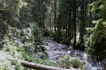 Dolina Roztoki #DolinaRoztoki #tatry