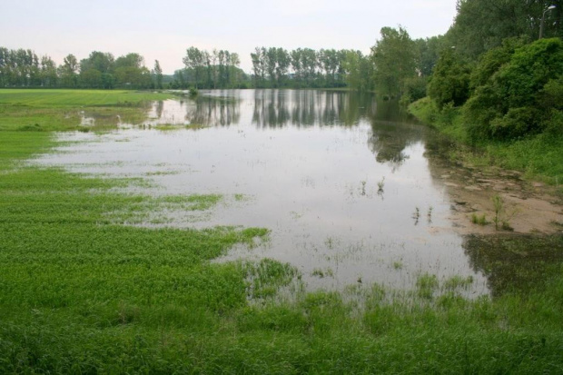 Wronki-Zamość, przesiąknięte wały