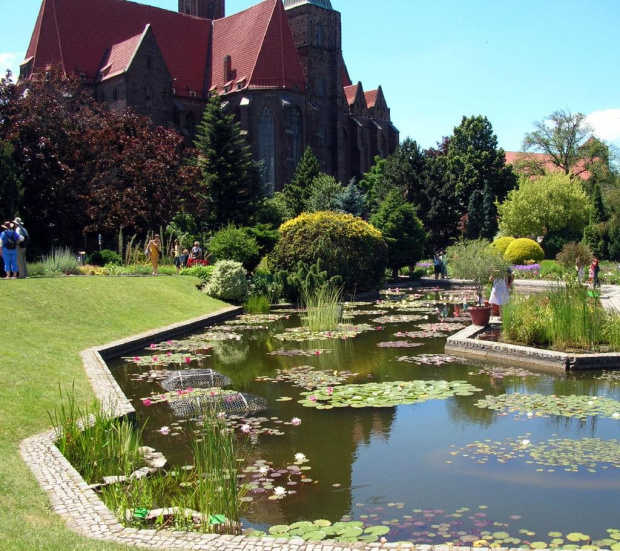 Wrocławski Ogród Botaniczny.Wprawdzie wiekszość kwiatów już przekwitła,ale i tak przyjemnie było pospacerować wśród zieleni :)