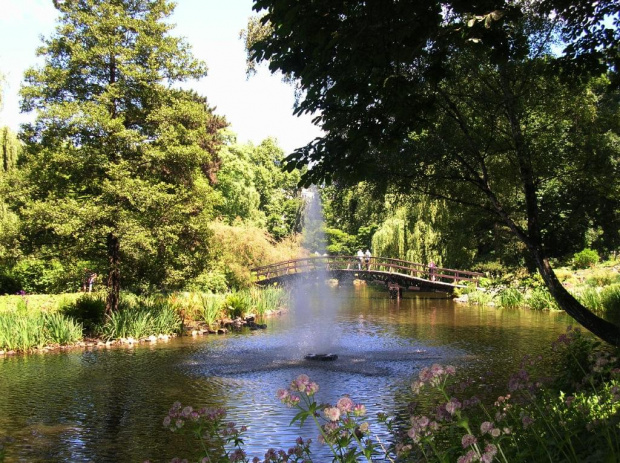 Wrocławski Ogród Botaniczny.Wprawdzie wiekszość kwiatów już przekwitła,ale i tak przyjemnie było pospacerować wśród zieleni :)