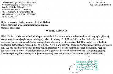#fretka #Kubuś #WynikiBadań #krew #mocz #usg #histopatologia #zdrowie