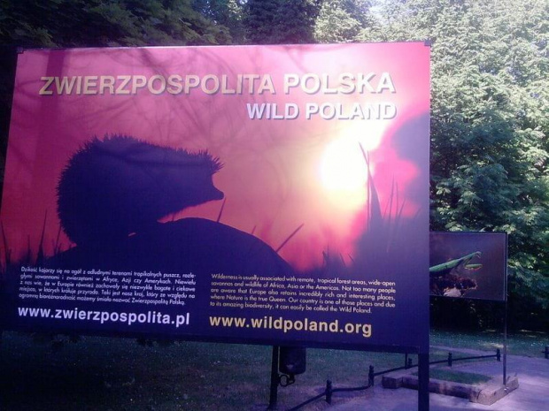 Wystawa a Parku Oliwskim #Przyroda