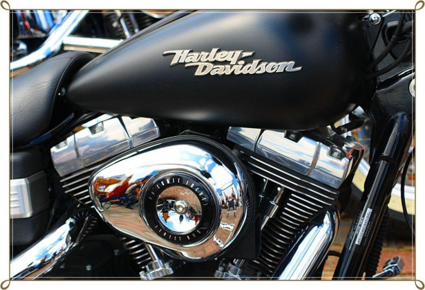 Dusza , czy nie ! #Harley #motocykl