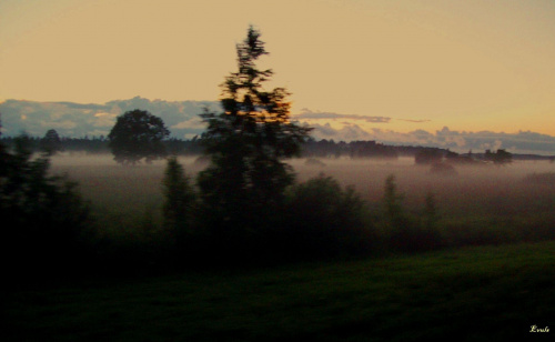Łotewskie mgły #mgła #krajobraz