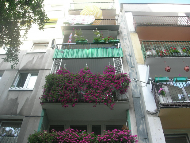 mój balkon na zewnątrz #ogródek #balkon #kwiaty