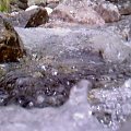 #Tatry #przyroda