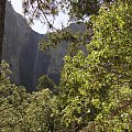 Park Yosemite