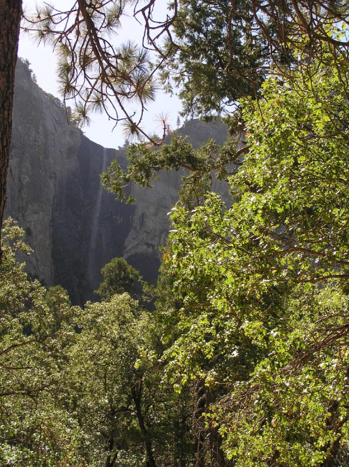 Park Yosemite