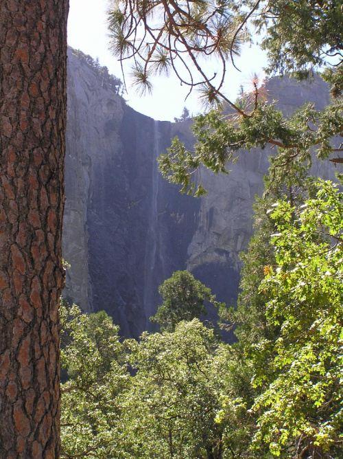 Park Yosemite