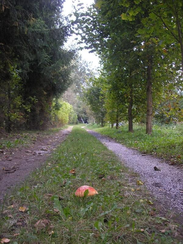 Kiedy się ma 200 m od bramy do domu, można spotkać niespodzianki :-)