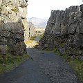 Pingvellir, głęboki wąwóz Almannagjá, Islandia