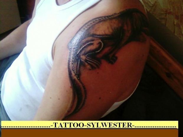 jaszczur tattoo #Tatuaz #tattoo