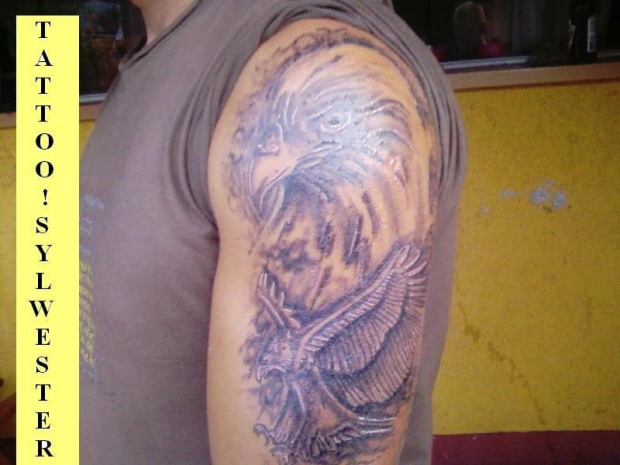 jastrząb tattoo #Tatuaz #tattoo
