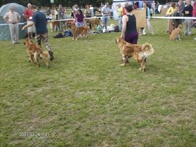 #leonberger #AptekaNatury