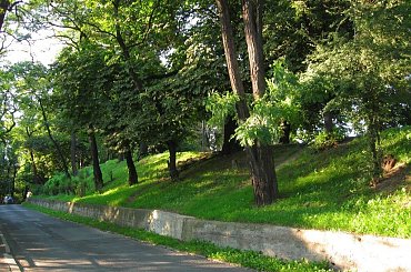 #miasta #parki #architektura #rzeka #domy #ulice