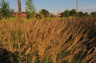 #miasta #parki #architektura #rzeka #domy #ulice