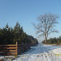 Okolice Żukowa