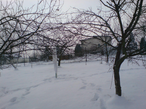 początek zimy 2009