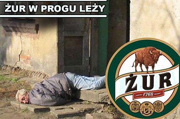 #żubr #piwo #browar #reklama #parodia #sex #laski