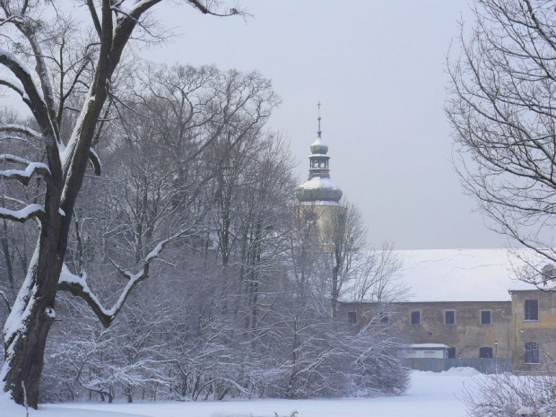 Rudy,zima,park #Rudy #zima #park