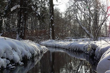 Rudy,zima,park #Rudy #zima #park