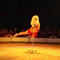 cyrk Zalewski zakaz kopiowania zdjęć zapraszamy na www.cyrk-fan.com zapraszamy #CyrkZalewski