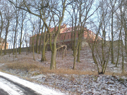 Zamek Bierzgłowski #OP0059