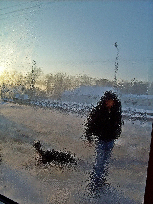 Zamarznięty portret mężczyzny z psem :) #zima #lód
