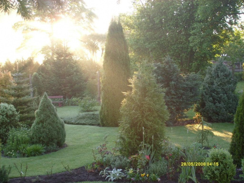 Wschód słońca w moim ogrodzie