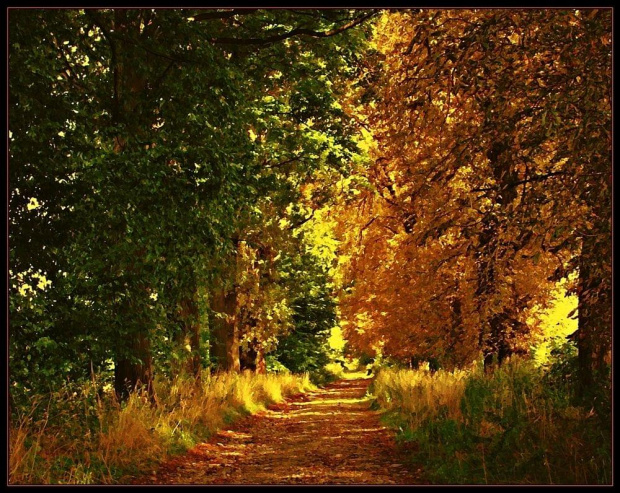 Droga do Pobiednej #jesień #KrajobrazyIPrzyroda #miejsca