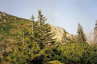 #góry #Karkonosze #krajobraz #park #szczyty #widoki