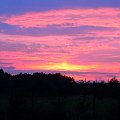 Sierpniowy zachód słońca 2008 #zachód #zachod #slonce #słońce #lato #wakacje #ciepło #natura #przyroda #ZachódSłońca #las #drzewa #działka #niebo #płomień #pomarańcz #chmury