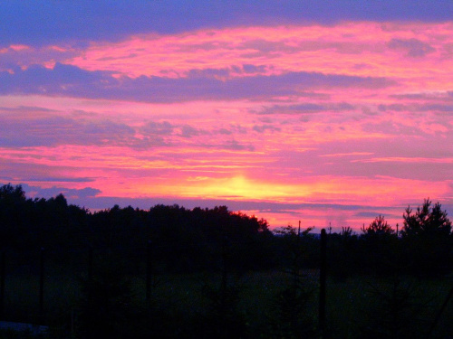Sierpniowy zachód słońca 2008 #zachód #zachod #slonce #słońce #lato #wakacje #ciepło #natura #przyroda #ZachódSłońca #las #drzewa #działka #niebo #płomień #pomarańcz #chmury