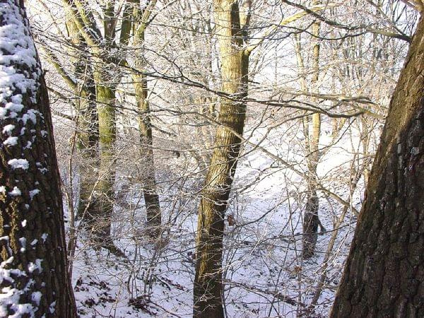 zima w wąwozie grabowym w Koszalinie