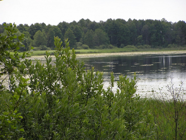 POLESIE - Sobiborski Park Krajobrazowy, rezerwat Żółwiowe Błota #Polesie #SobiborskiParkKrajobrazowy #jezioro