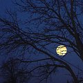 #Księżyc #noc #NocneZdjęcie