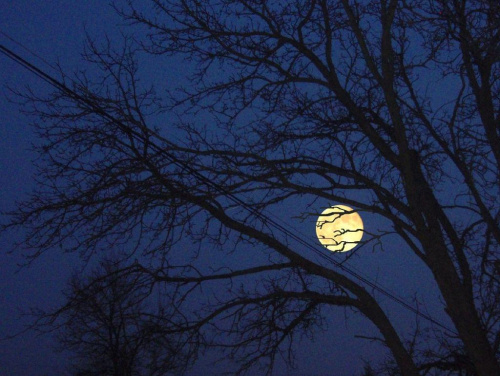#Księżyc #noc #NocneZdjęcie
