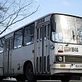 #Ikarus260