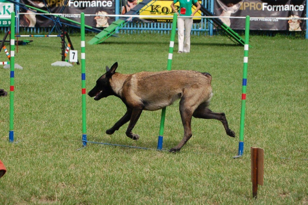 PP Agility Białystok 22.07.2007