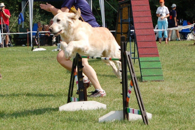 PP Agility Białystok 22.07.2007