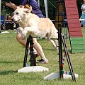 PP Agility Białystok 22.07.2007