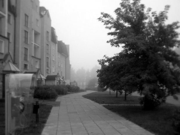 poranna mgła...powoli ustępuje