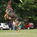 PP Agility Białystok 22.07.2007